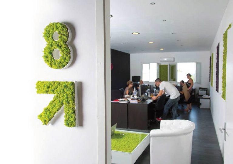 Logo vegetal 8